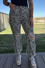 Zeplin Zebra Pants